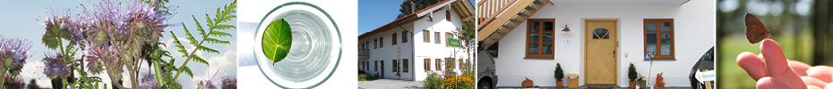 Therapiezentrum Altstein